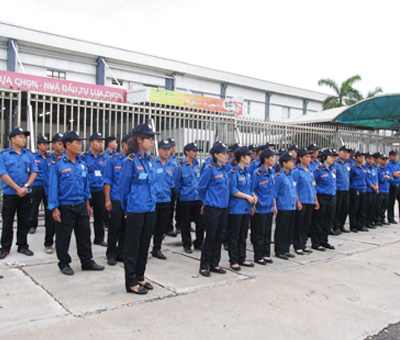 MAY TAV (VIỆT MỸ)